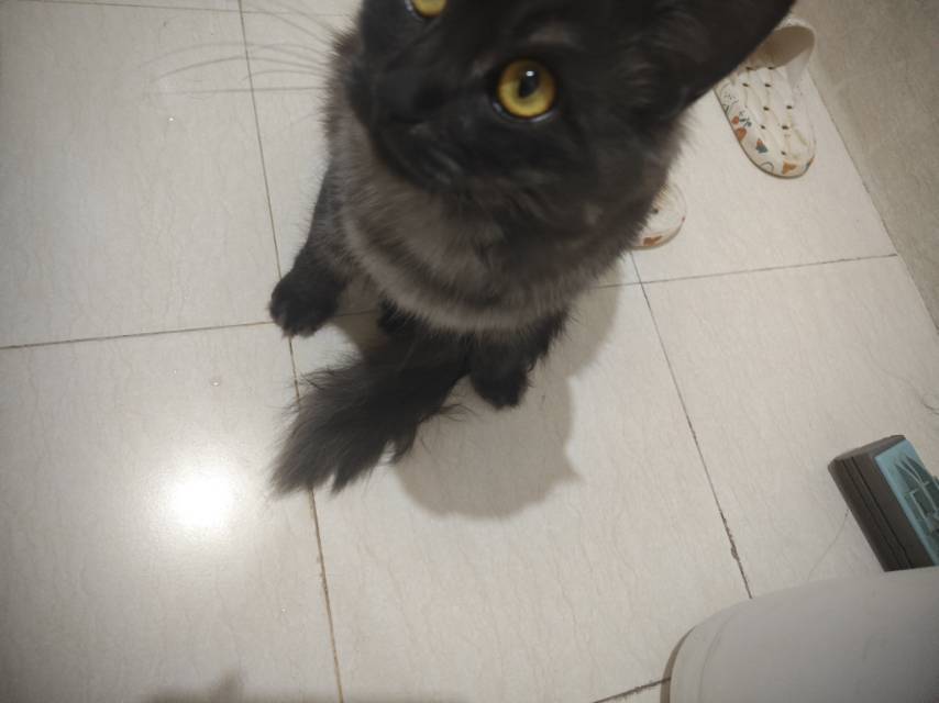 李