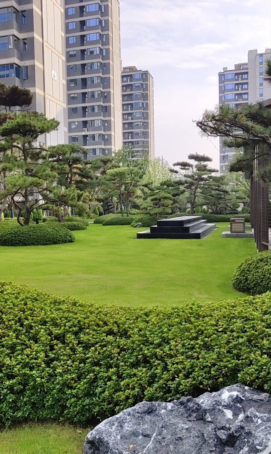 虎