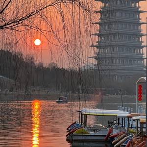 蝴蝶忍