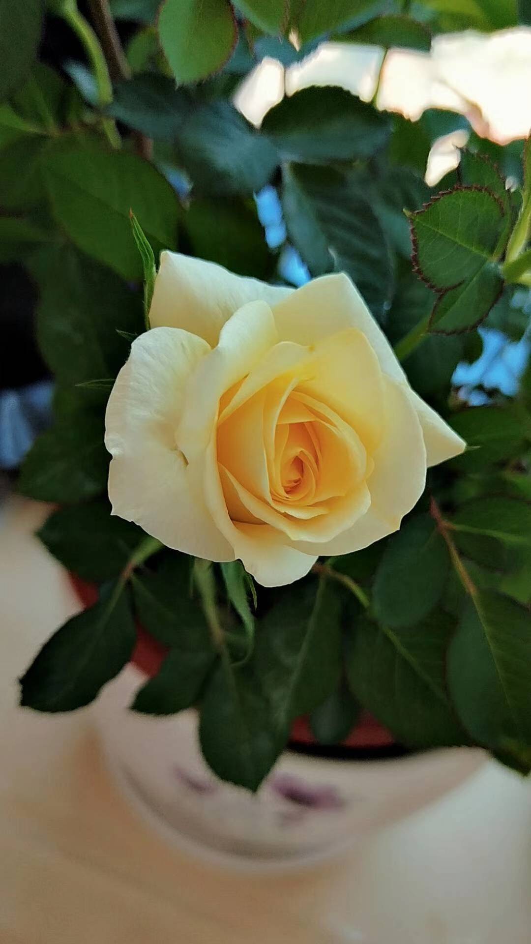 。。。