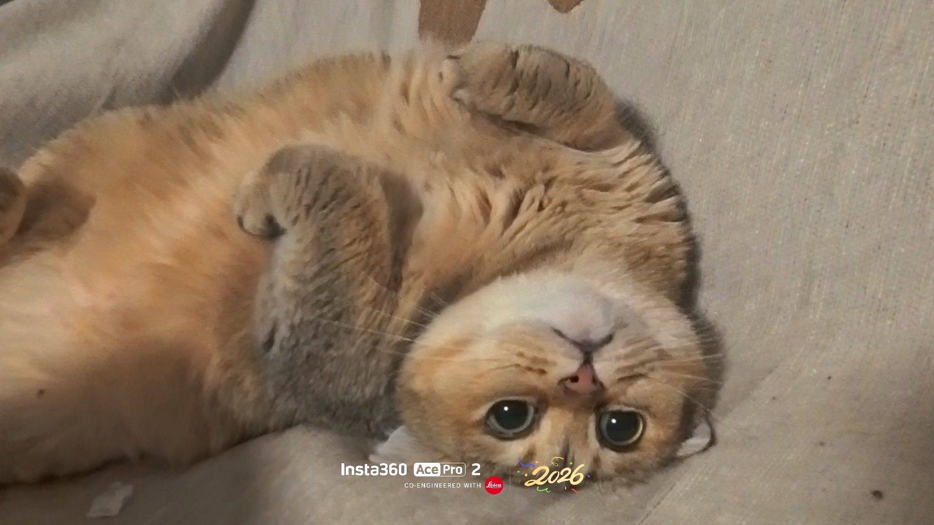 付小七
