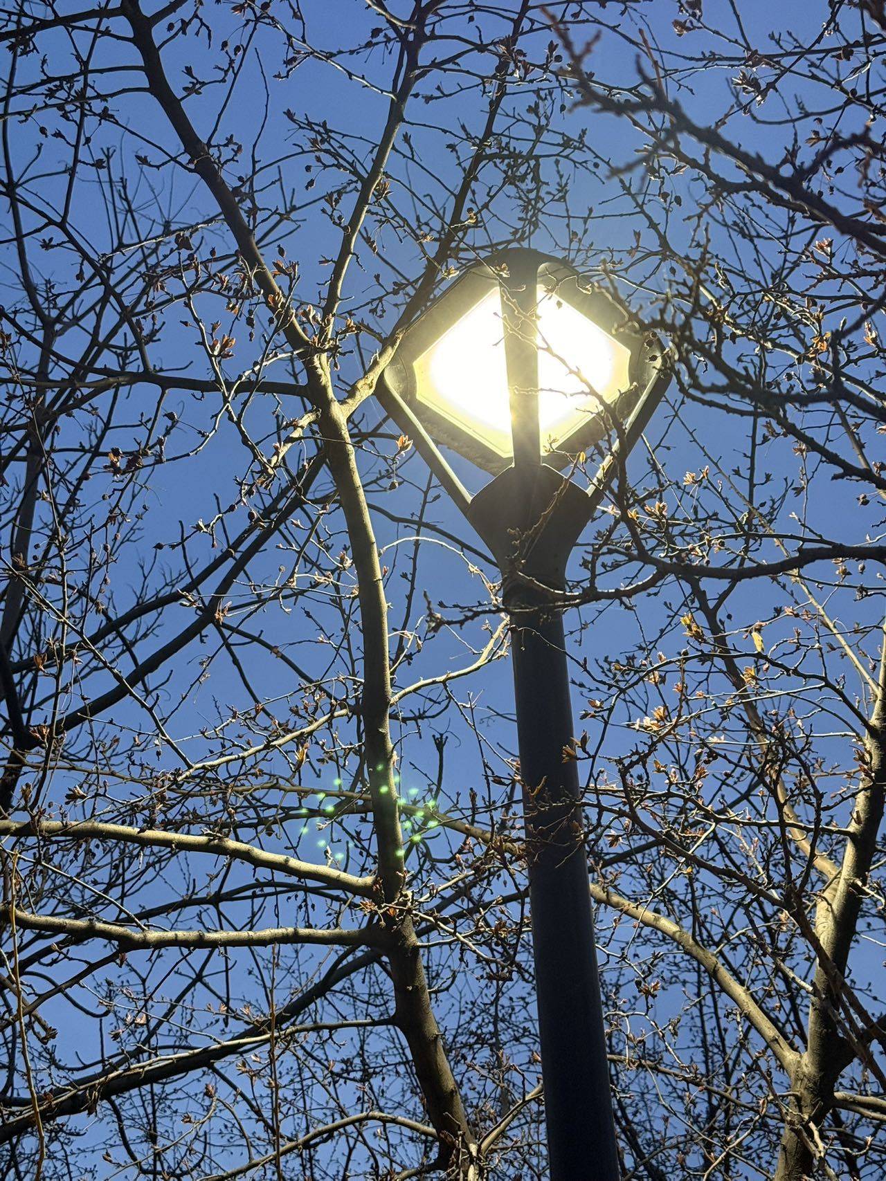 圆圆今天不熬夜