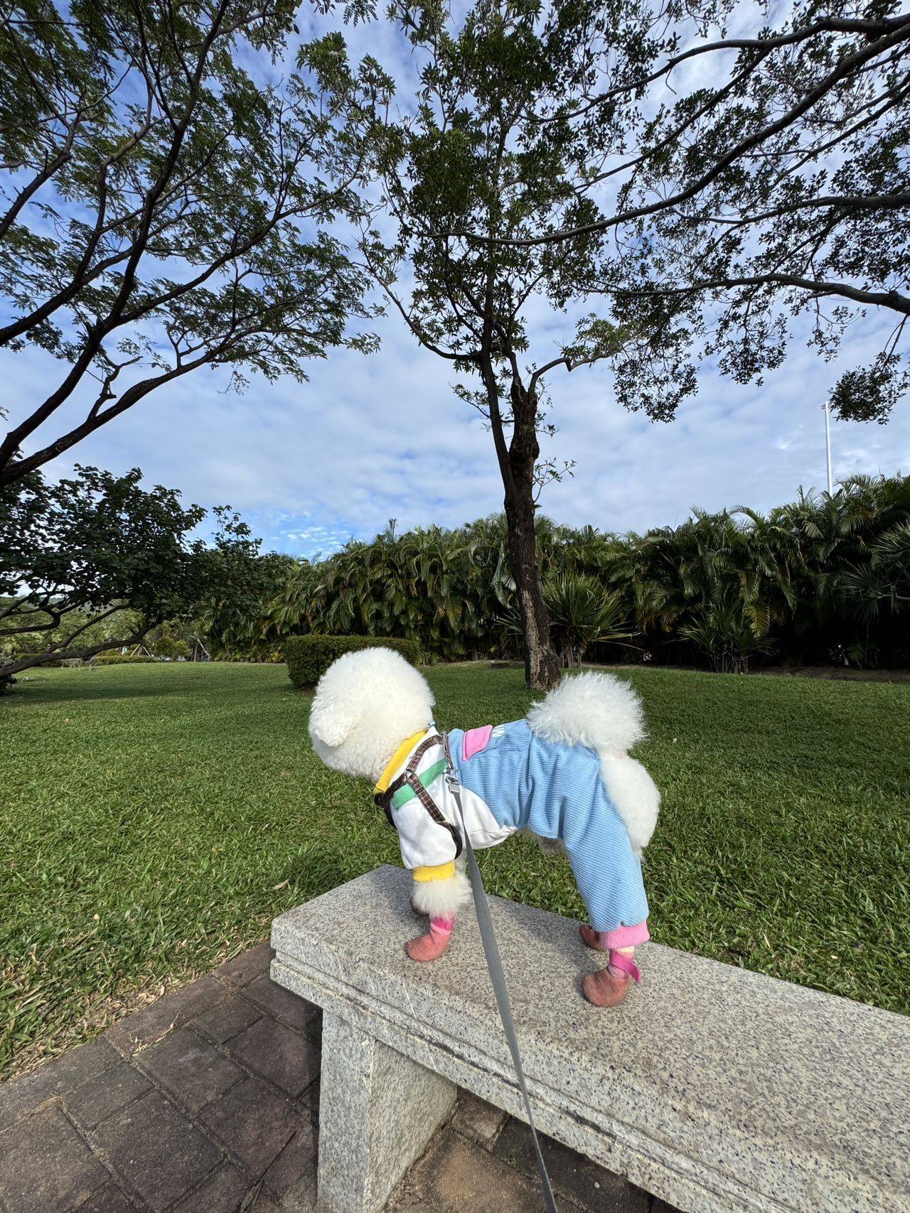 ๓°菲
