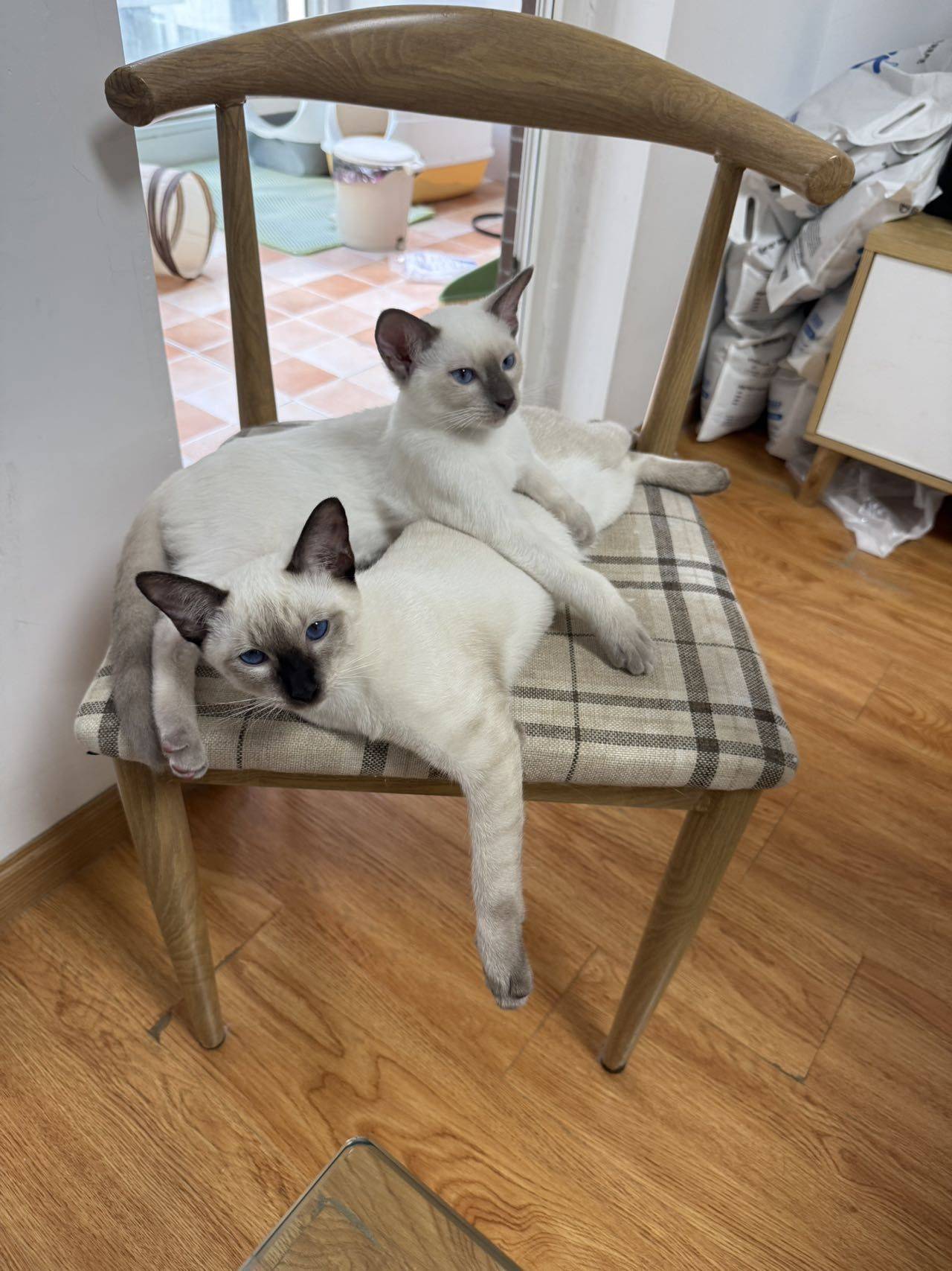 办公室中笑着带泪的