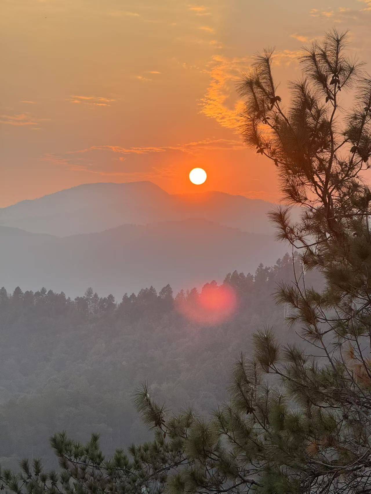 自己房子出租小海