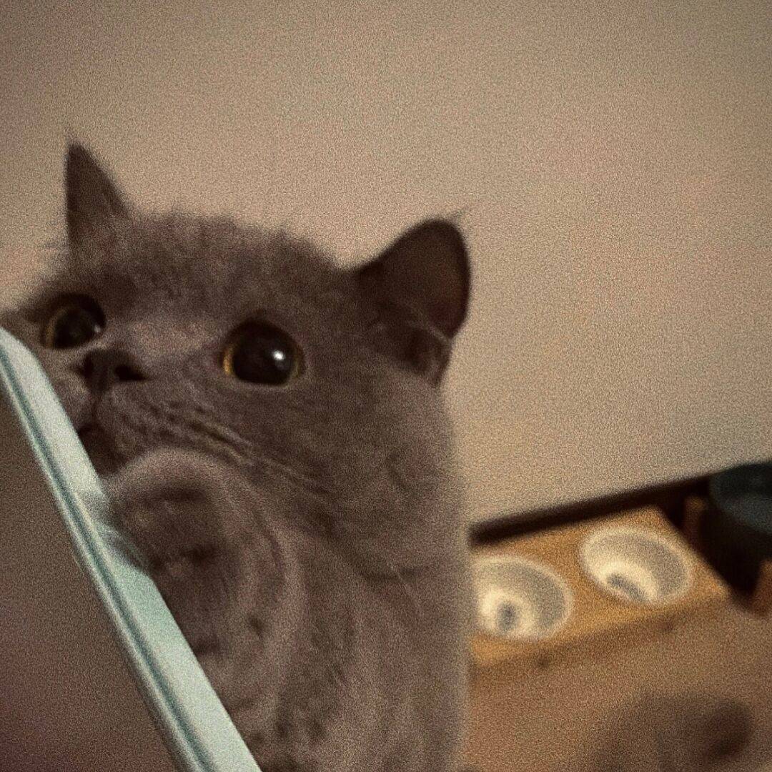 土豆地雷