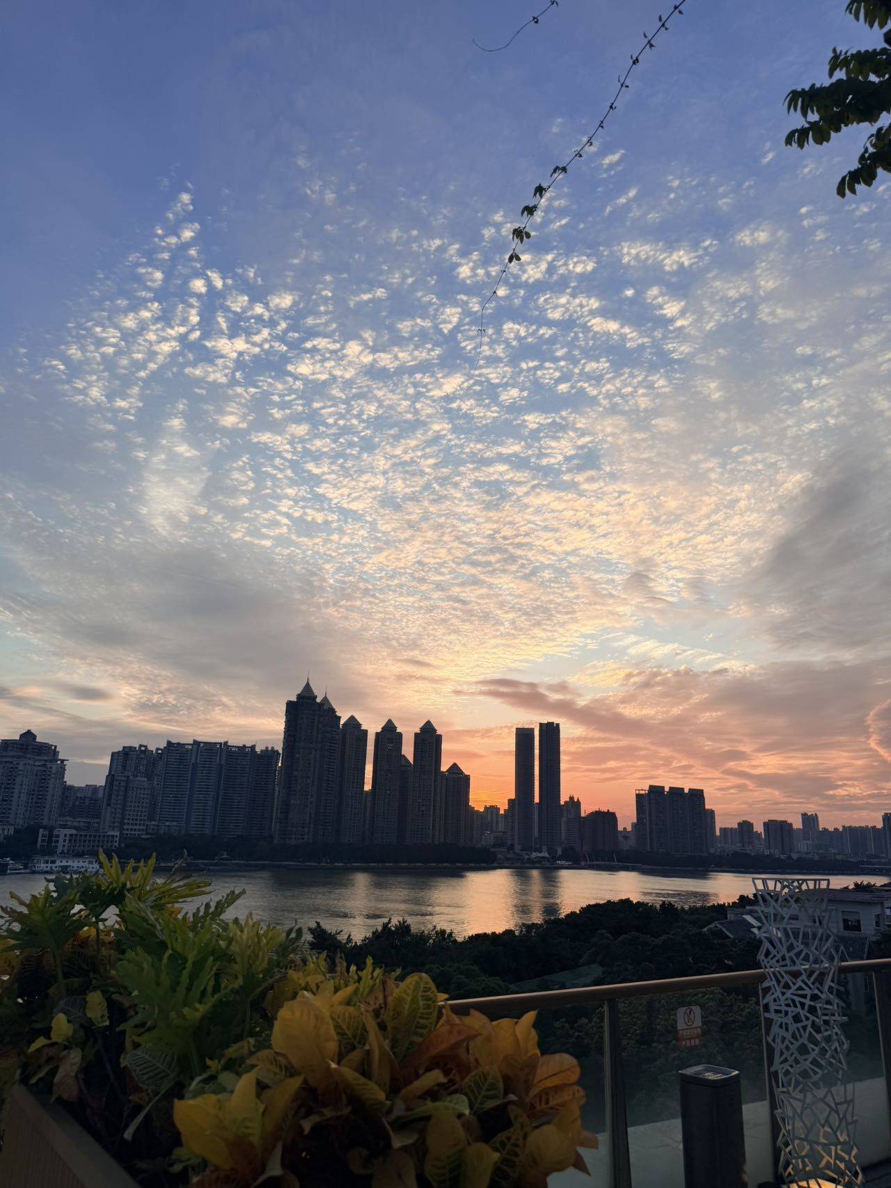 小小
