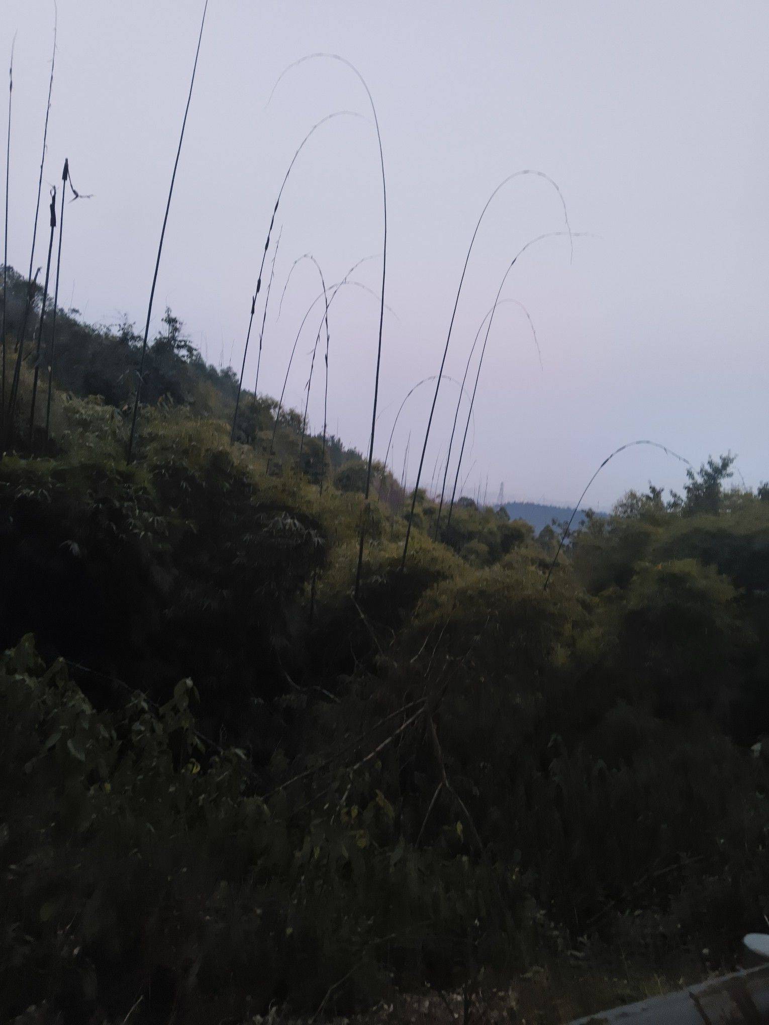 江南