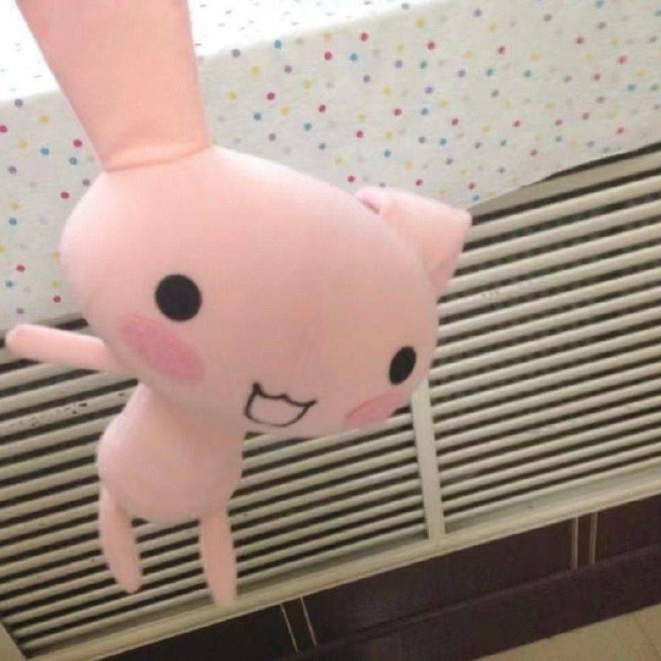可能是条淡水鱼