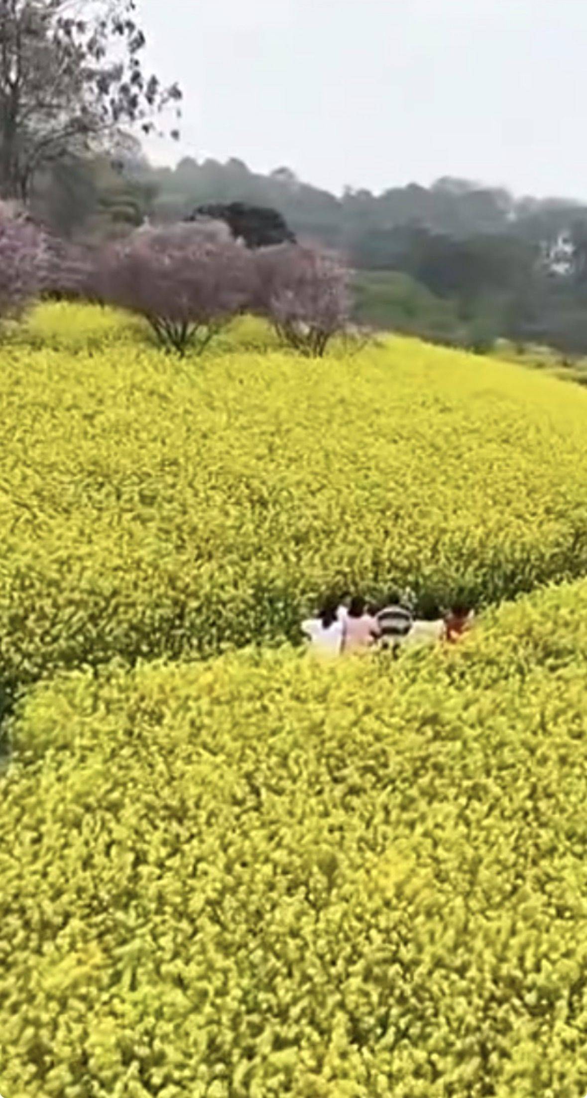 顺风顺水初来乍到，请多关照！