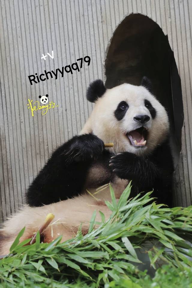 南昌房东出租自家房子