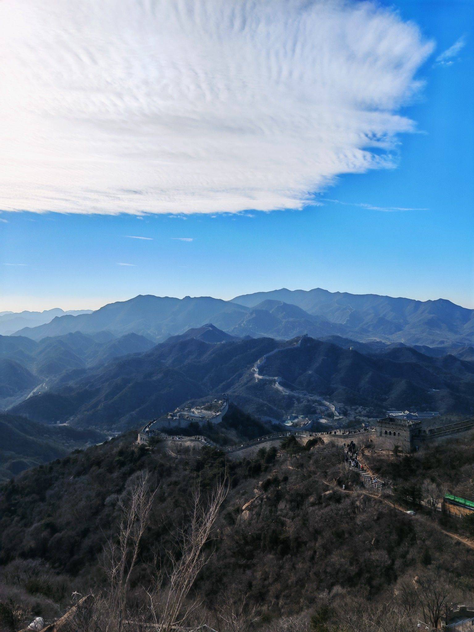 两个核桃