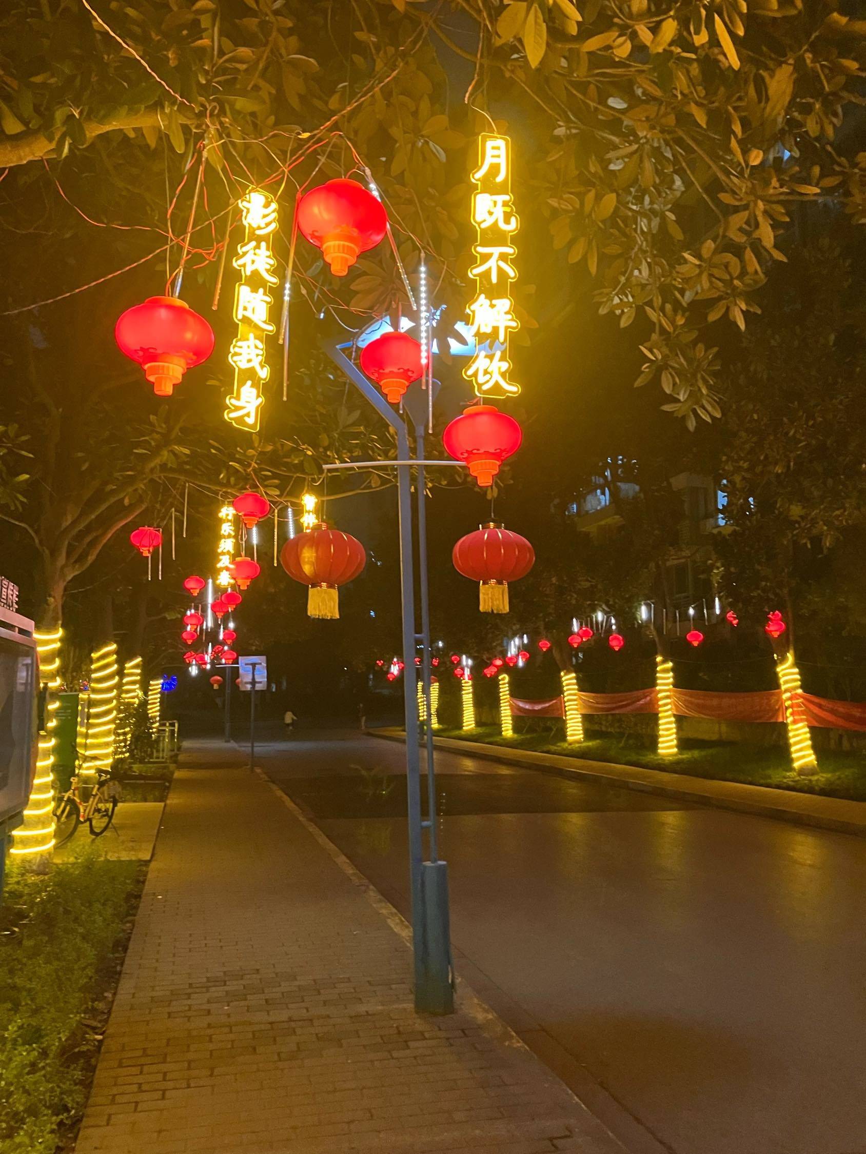 大白小闲