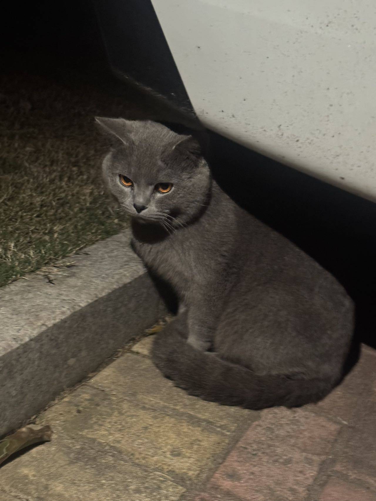 🧊驾到，通通闪开！