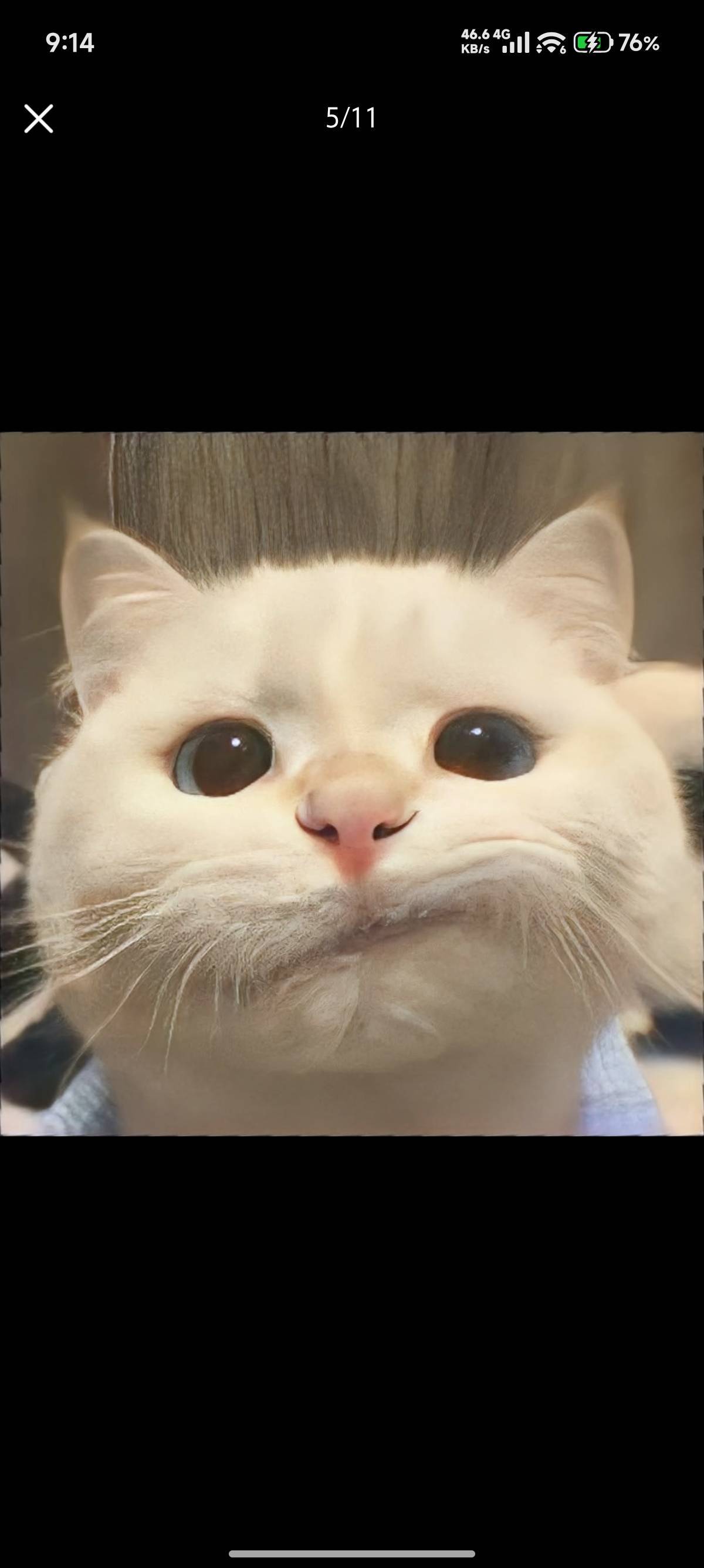 天地孤影任我行