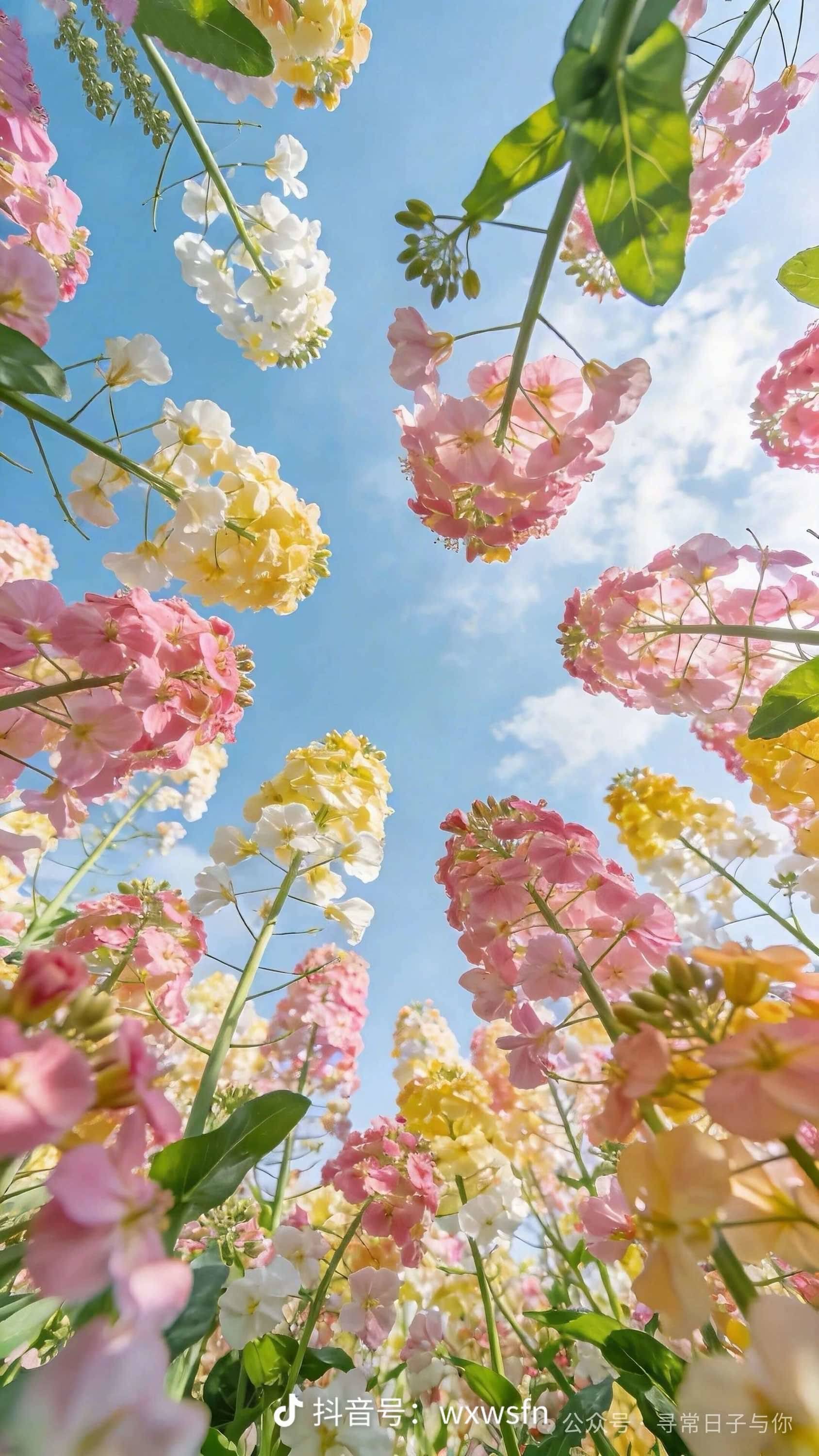 爱吃辣的房东姐姐