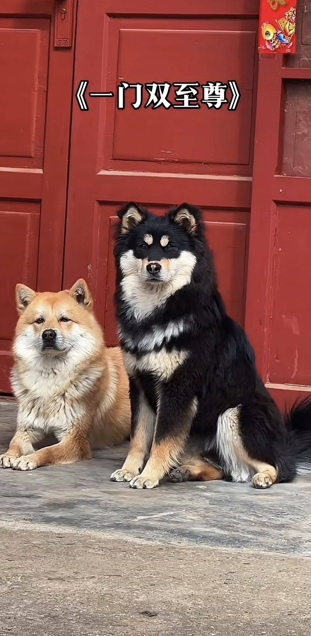 南京没有东京热