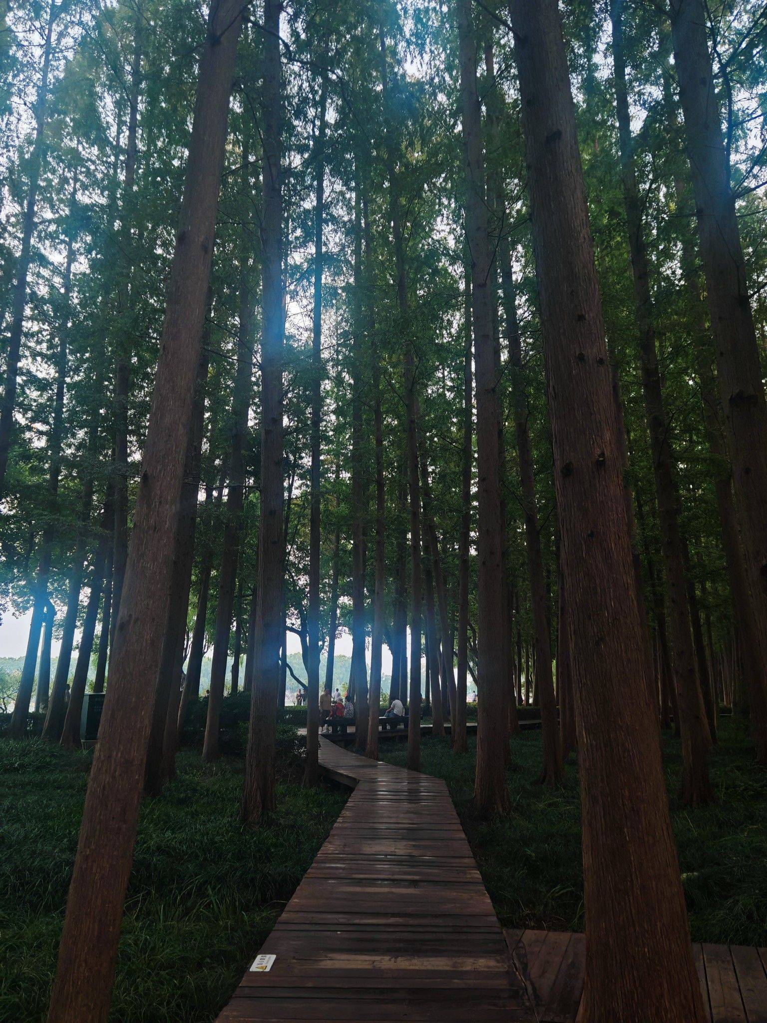 晴天