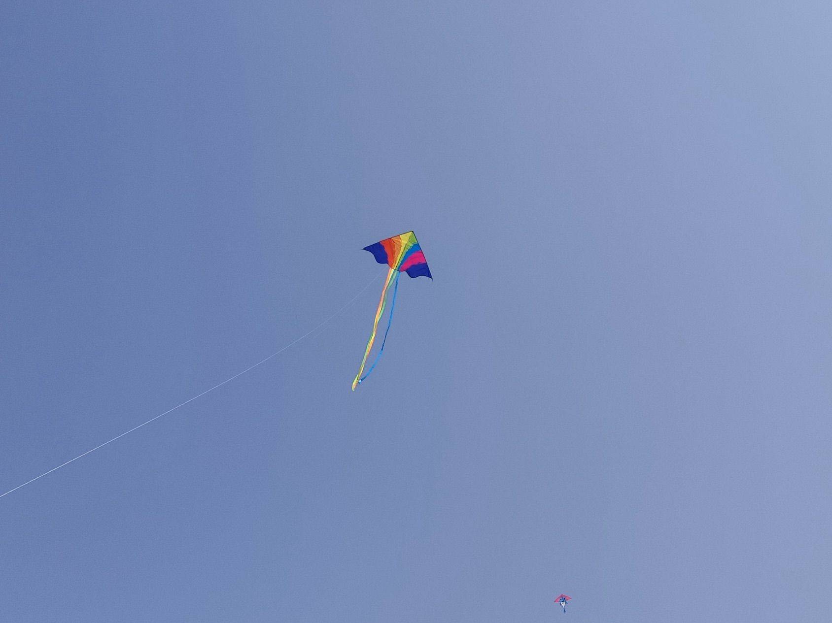 如果能租到好房子