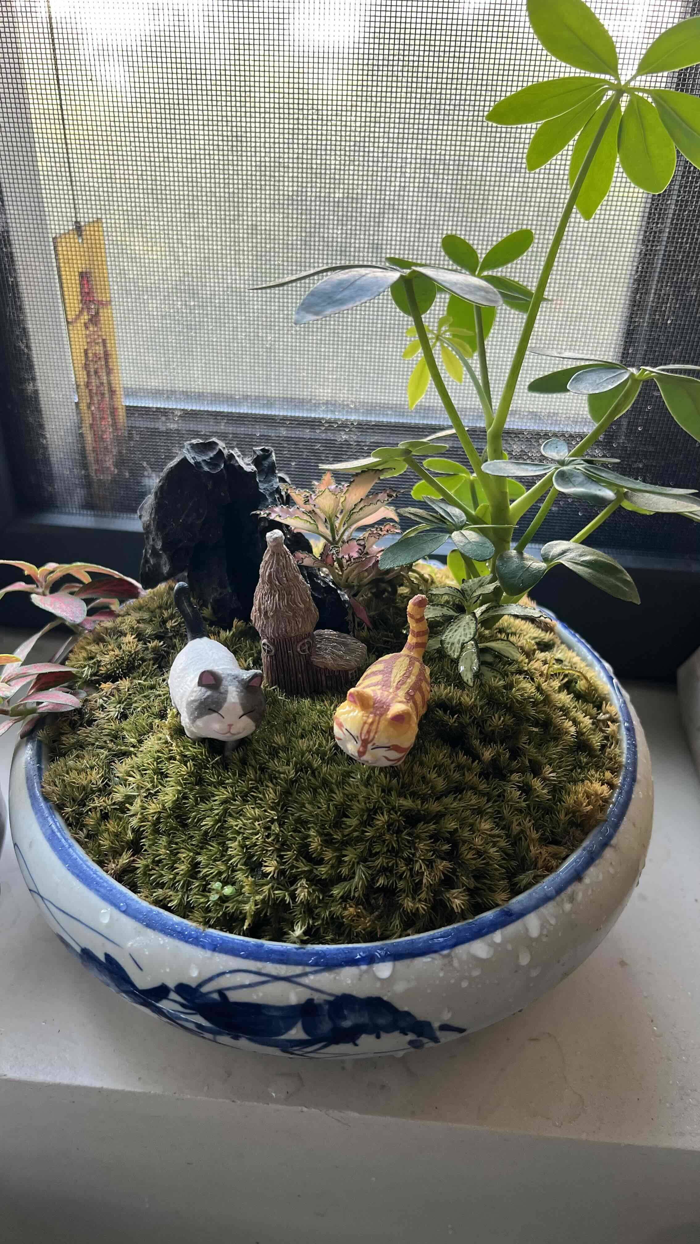 日子平淡，好在我喜欢