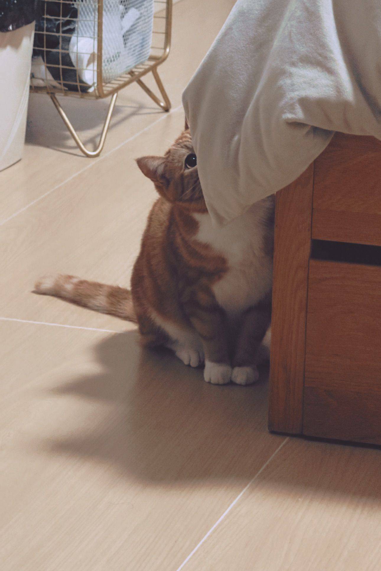 Benny
