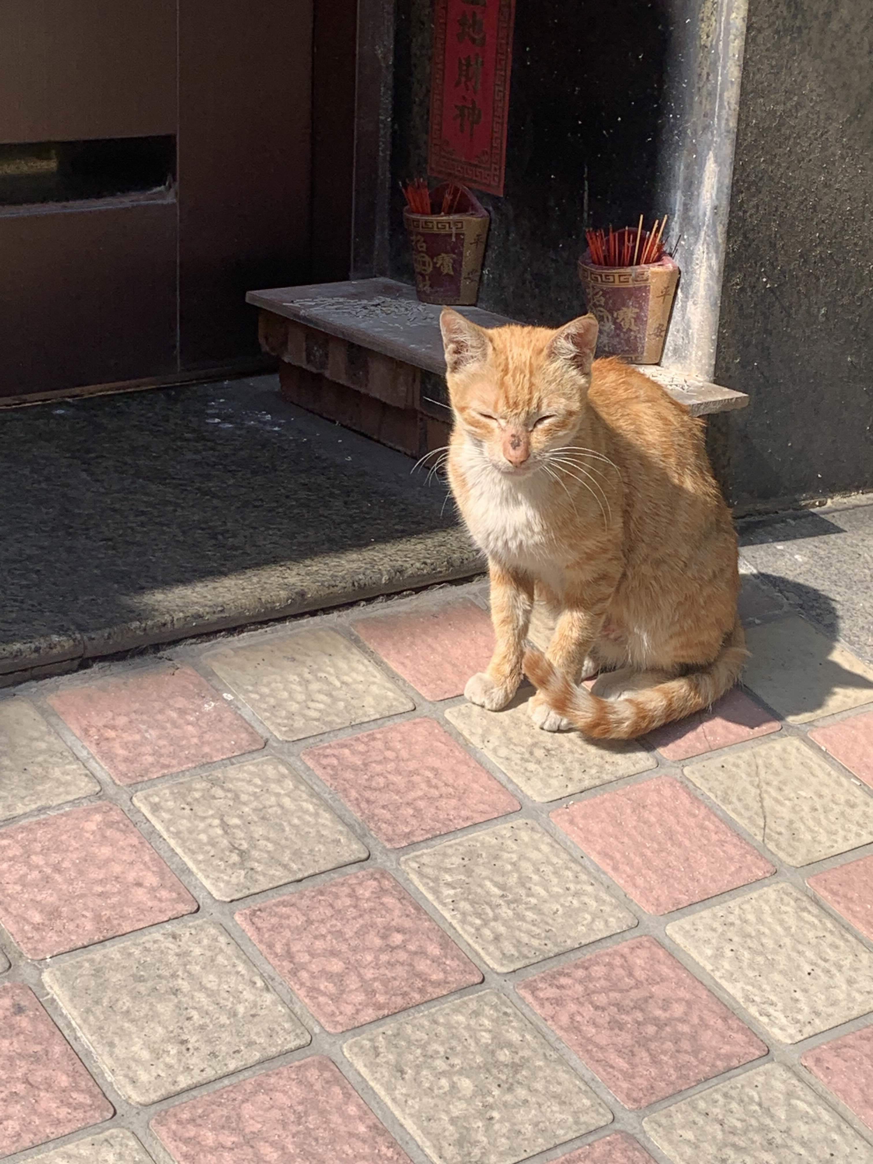 永幸