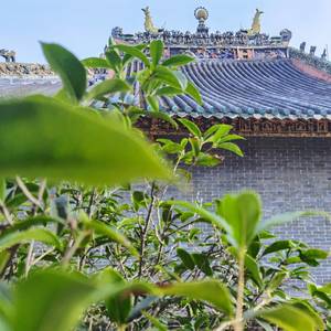 林杰
