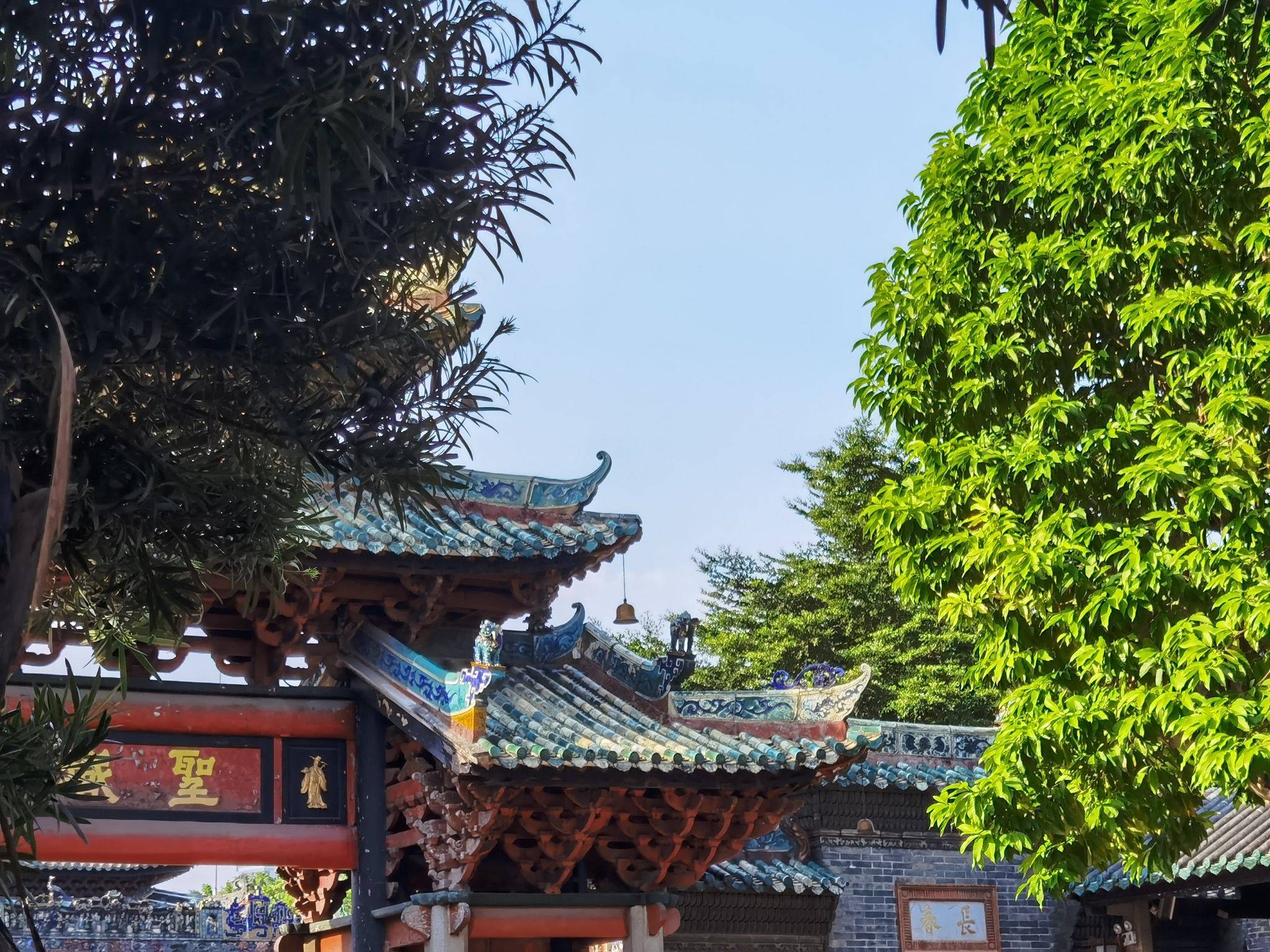 life_photo_2