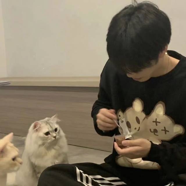 桓珩
