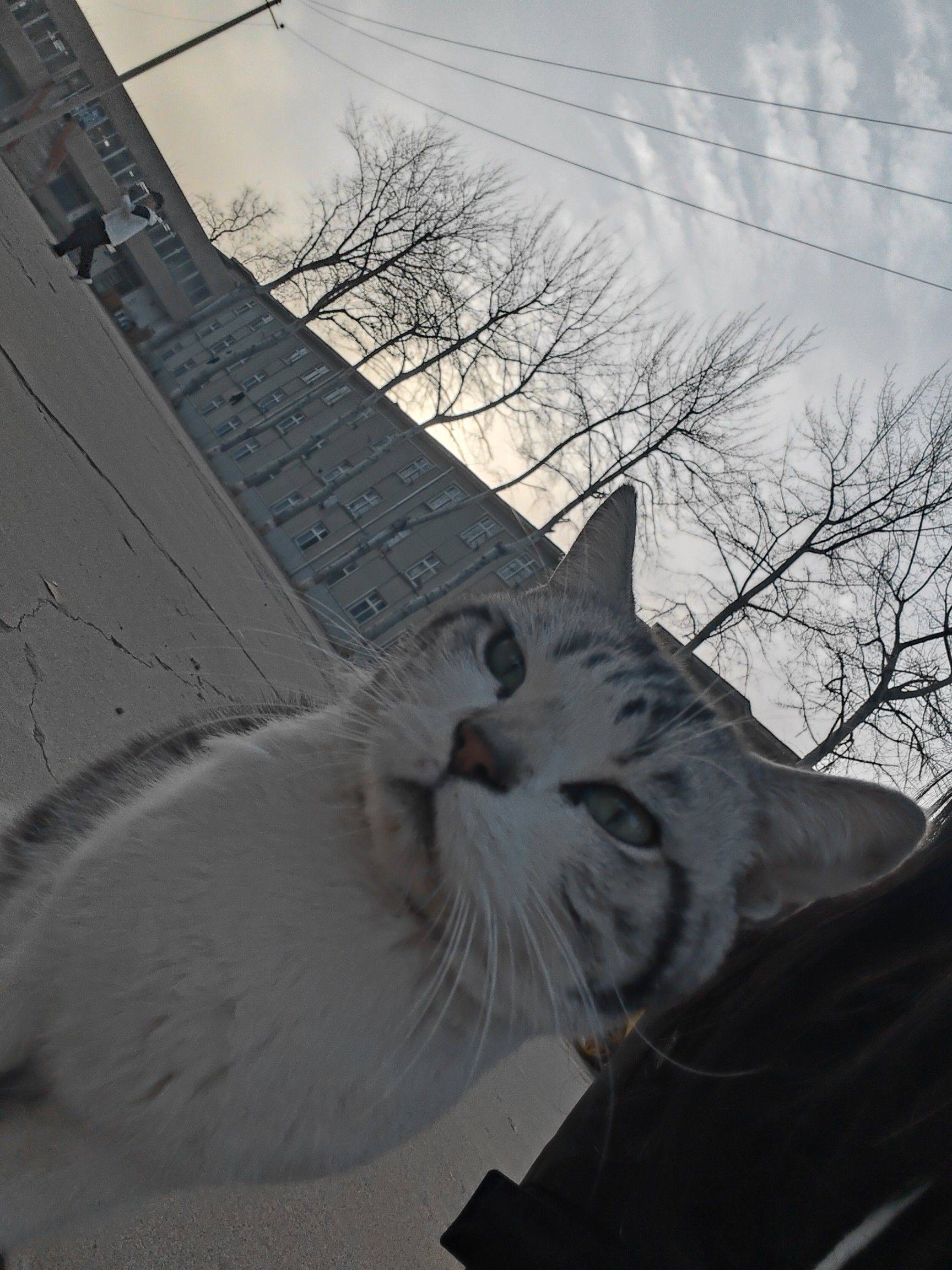 大学生不骗大学生