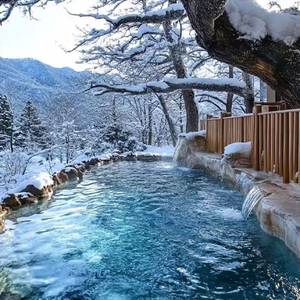 人类智慧天花板