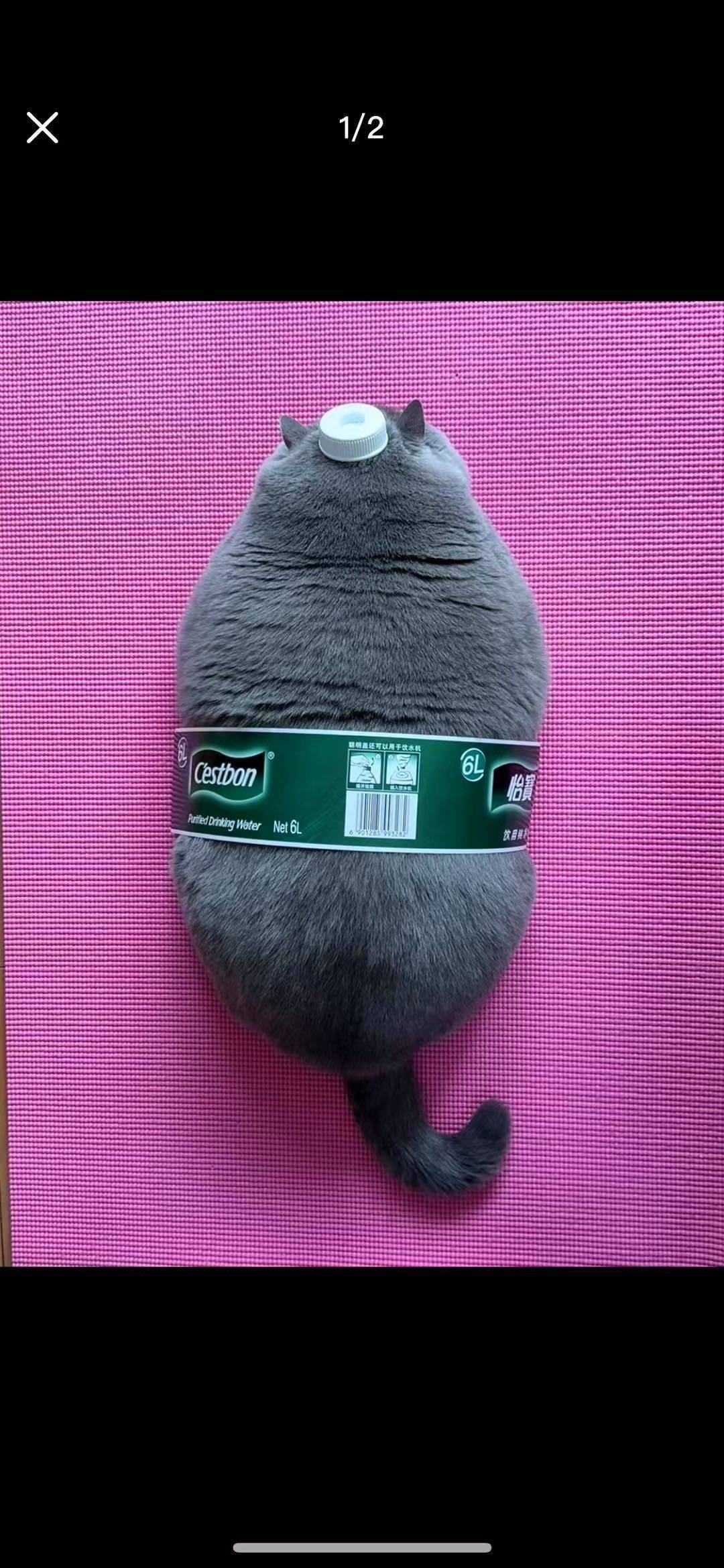 自家房屋出租