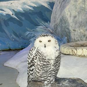 东城区长青园出租