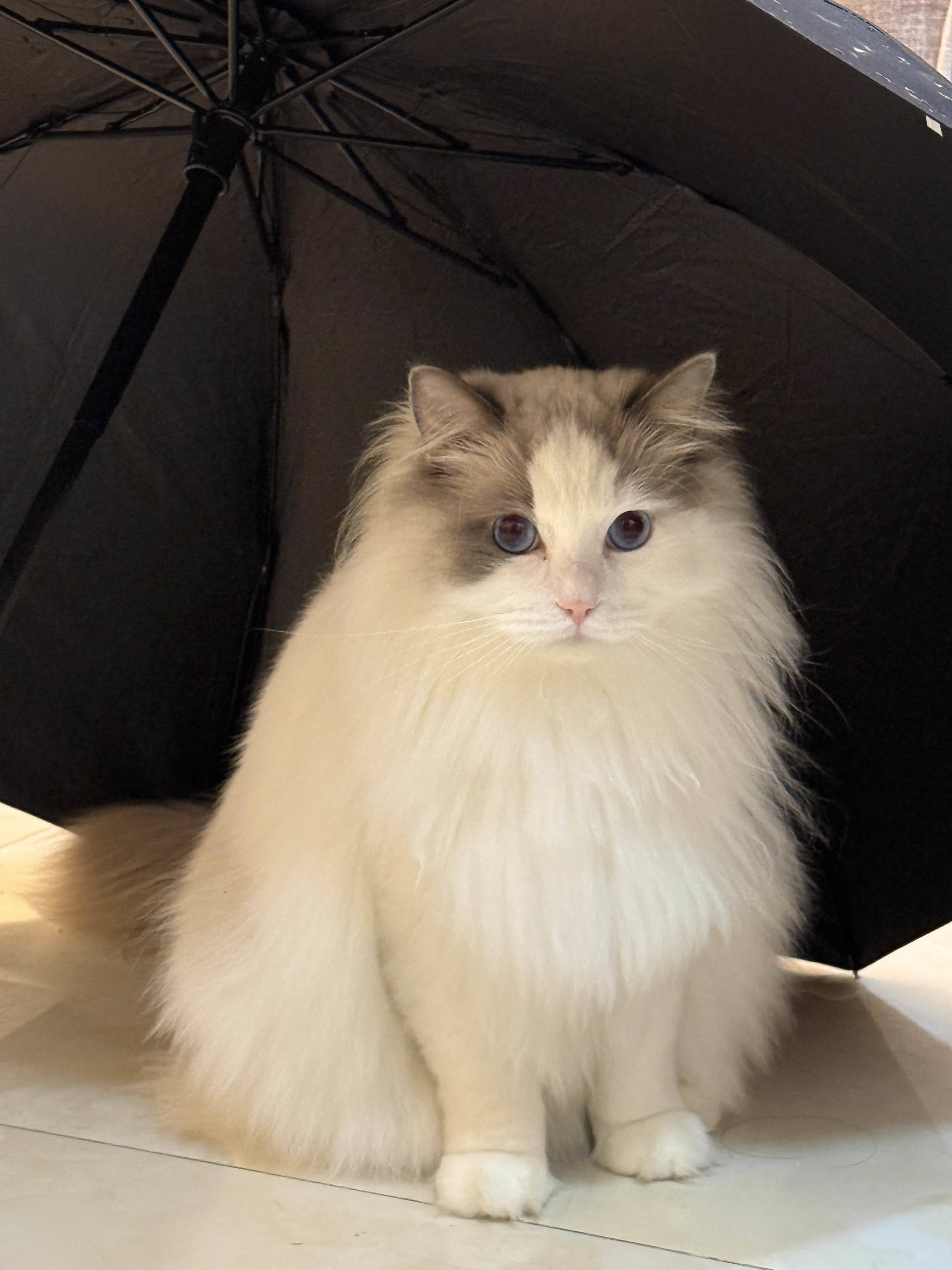 坠入生活的慢节奏