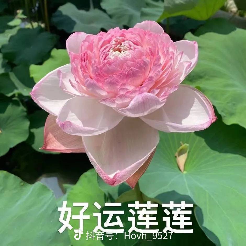 এ᭄爱财💞爱己ღ