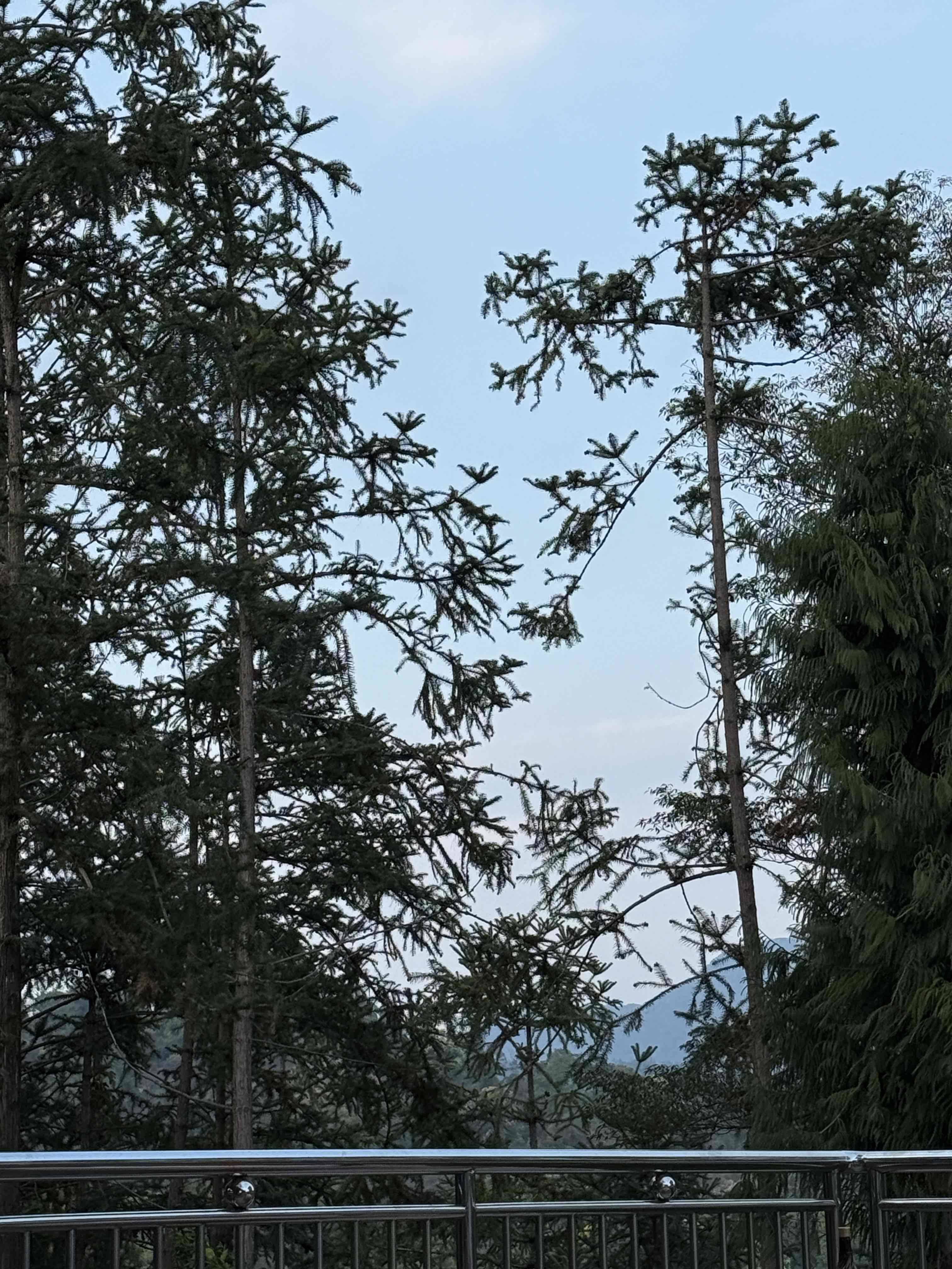 寻找房客的优秀房东