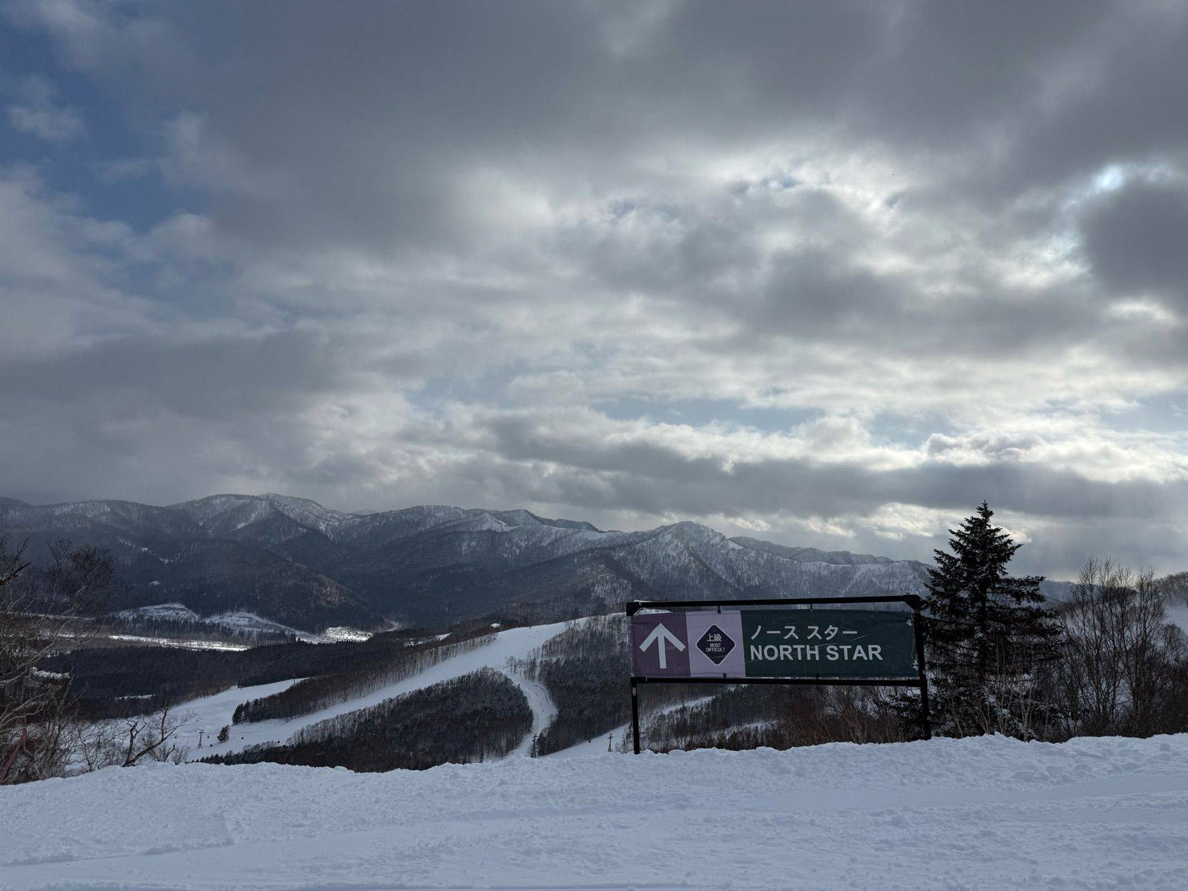 爱吃榴莲的姐姐