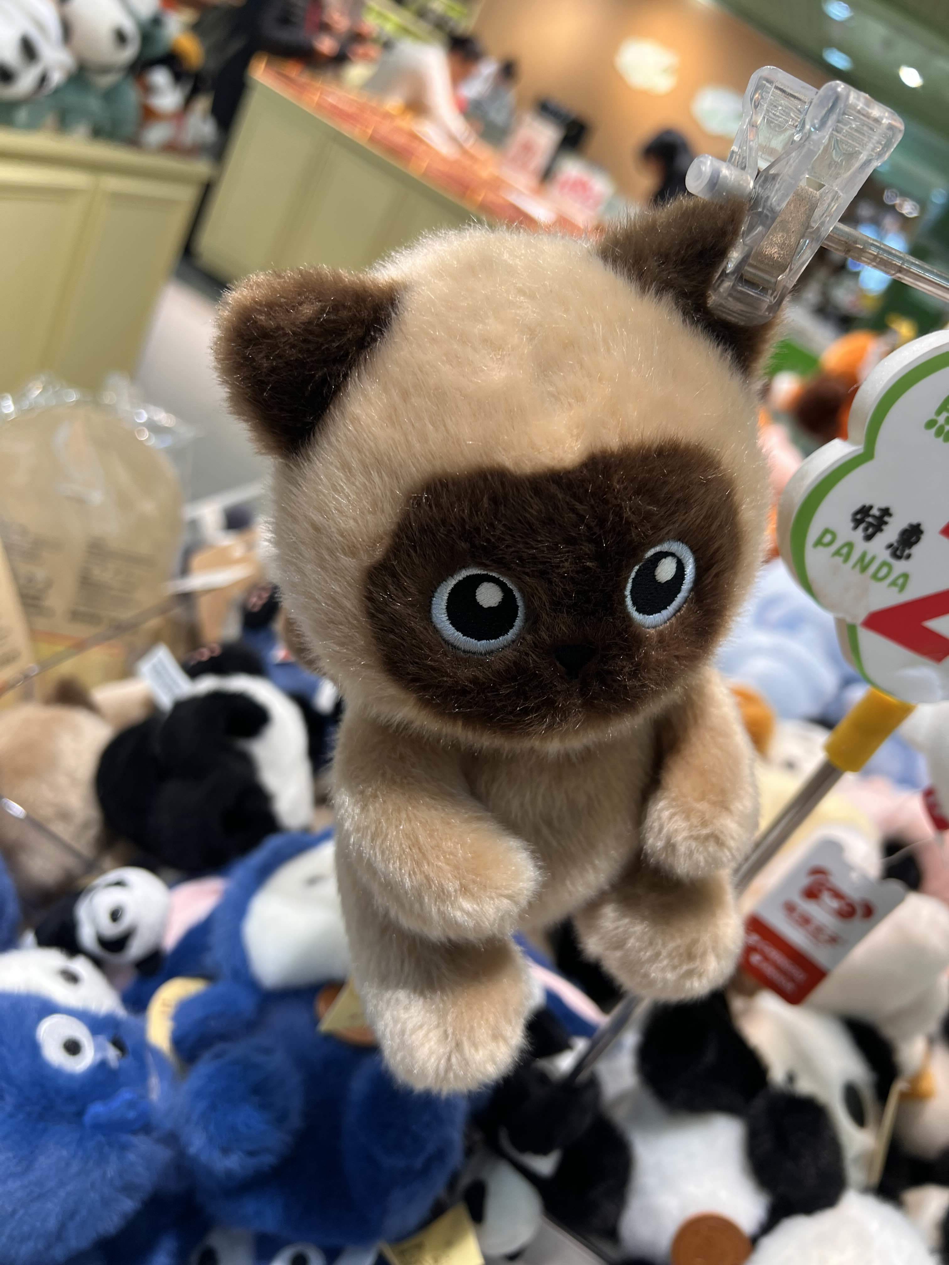 小半