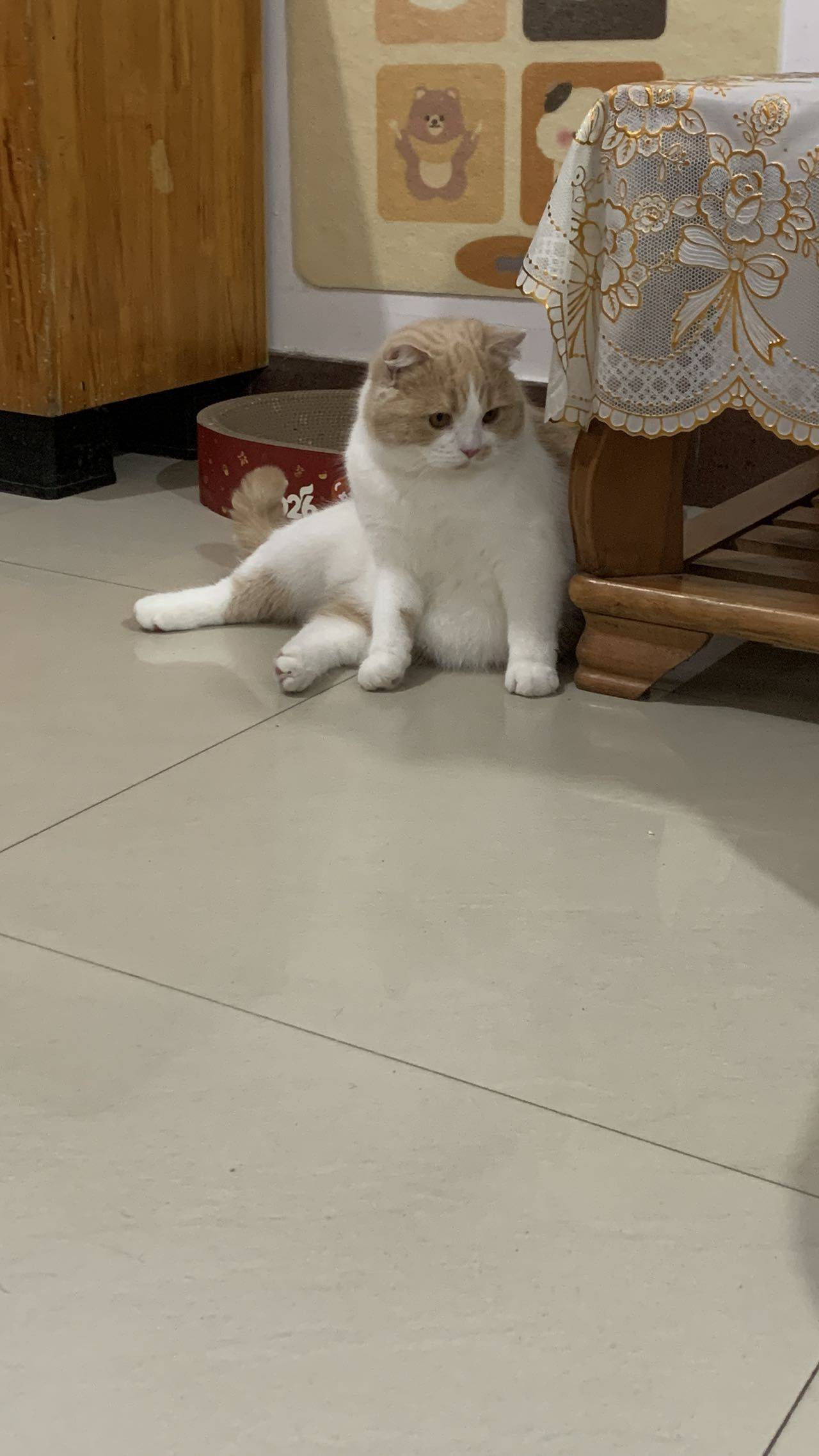 吴烦恼