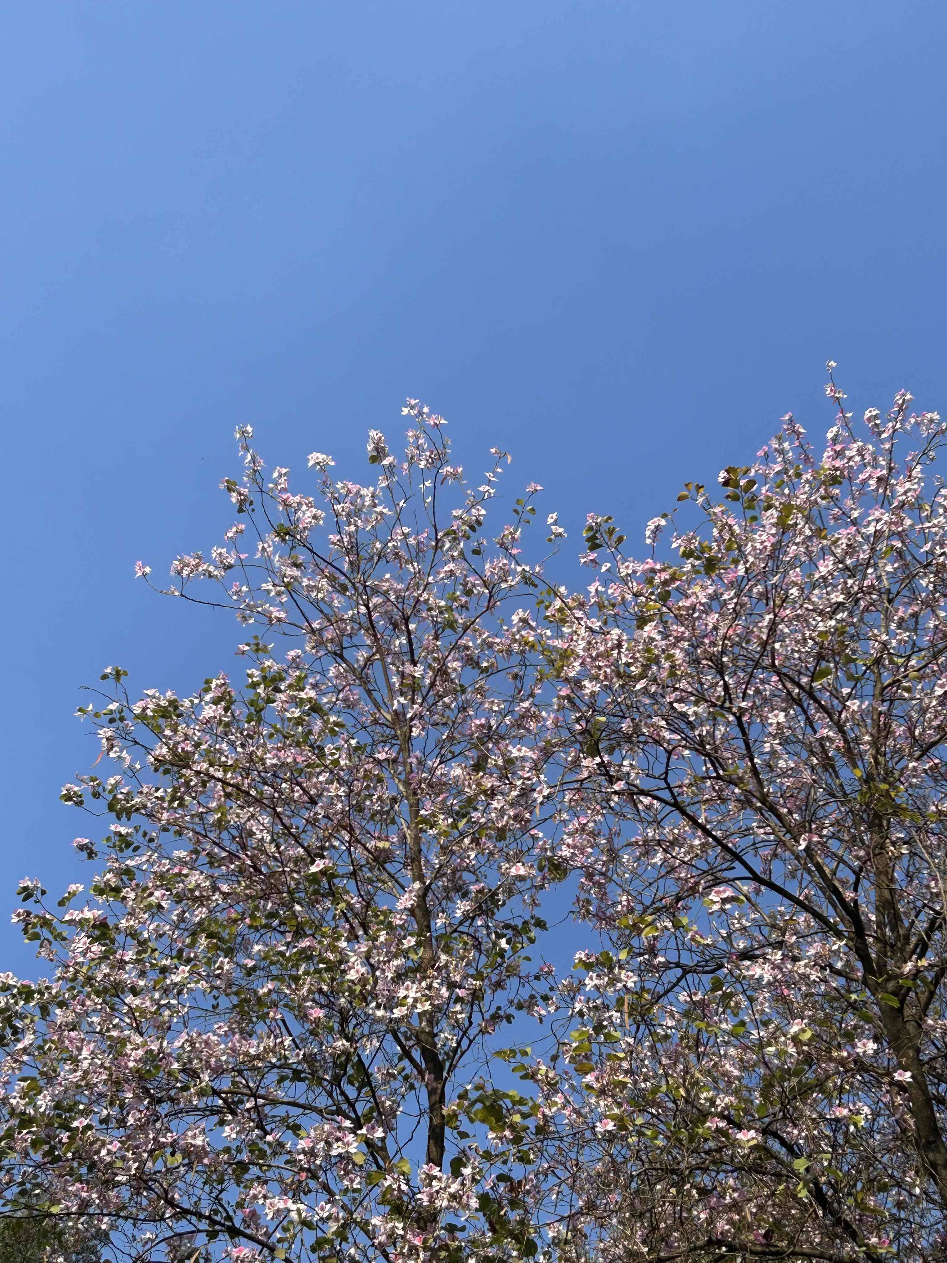 来Wellcee第一天！