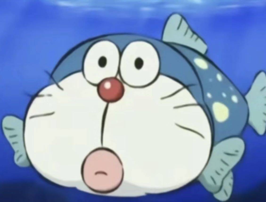 粥粥
