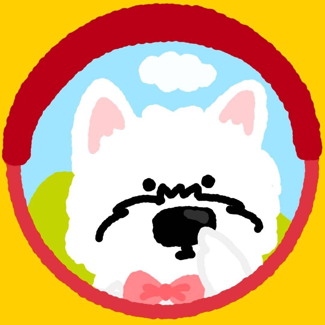 迪迪
