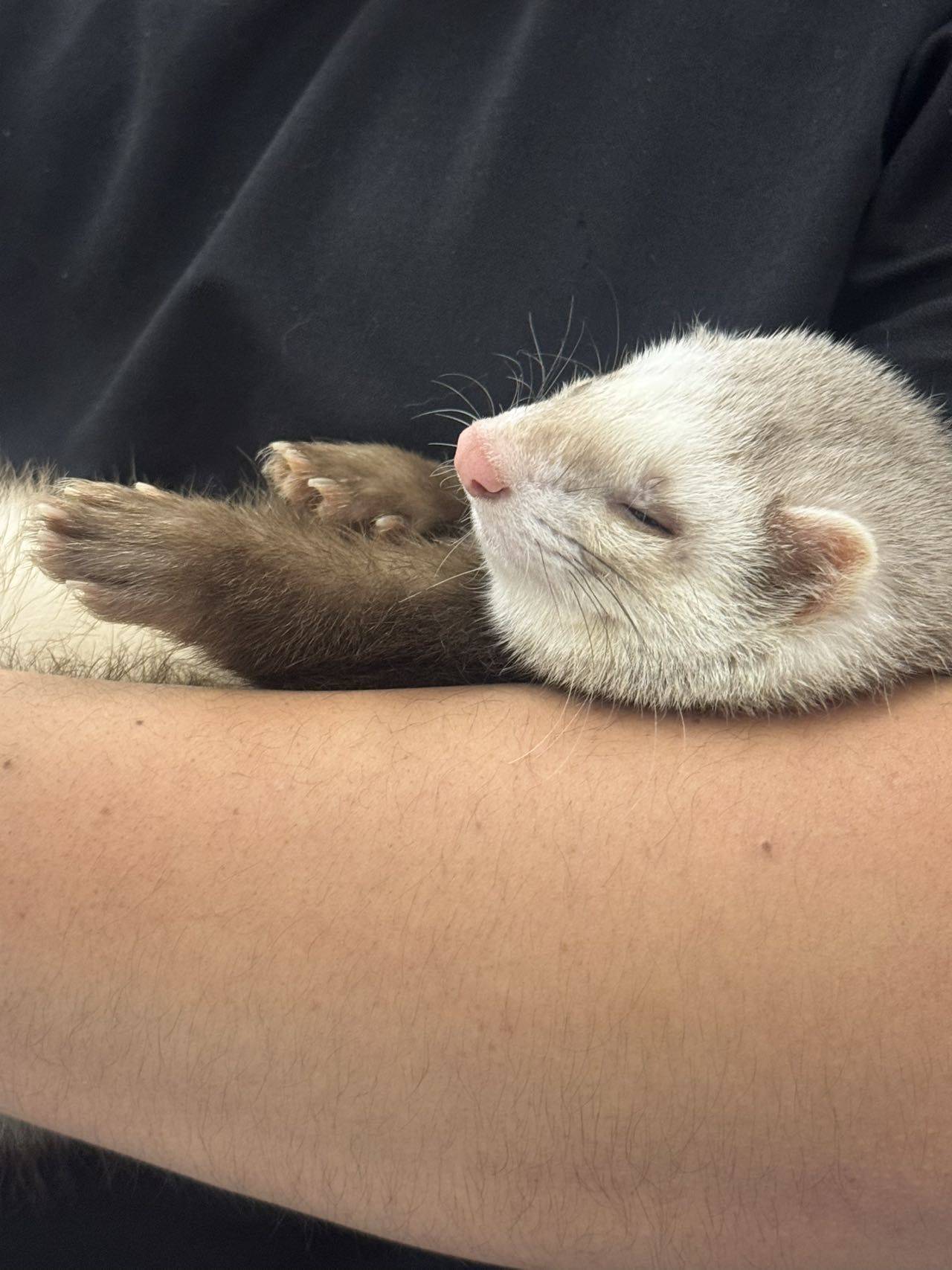 小尹今天瘦了嘛🤨