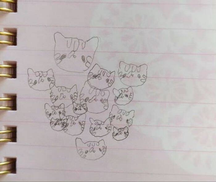 小Y