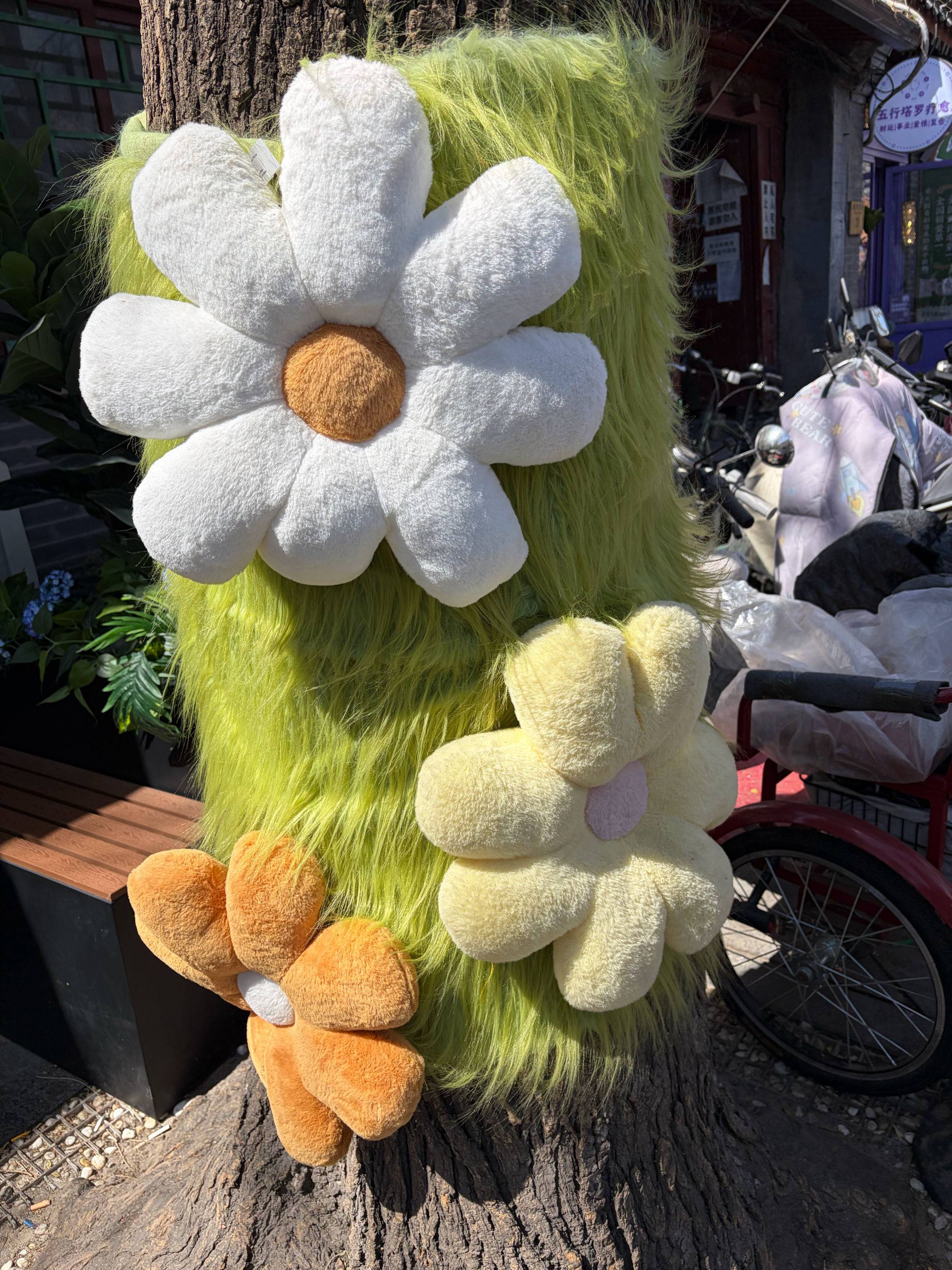 一只蘑菇。