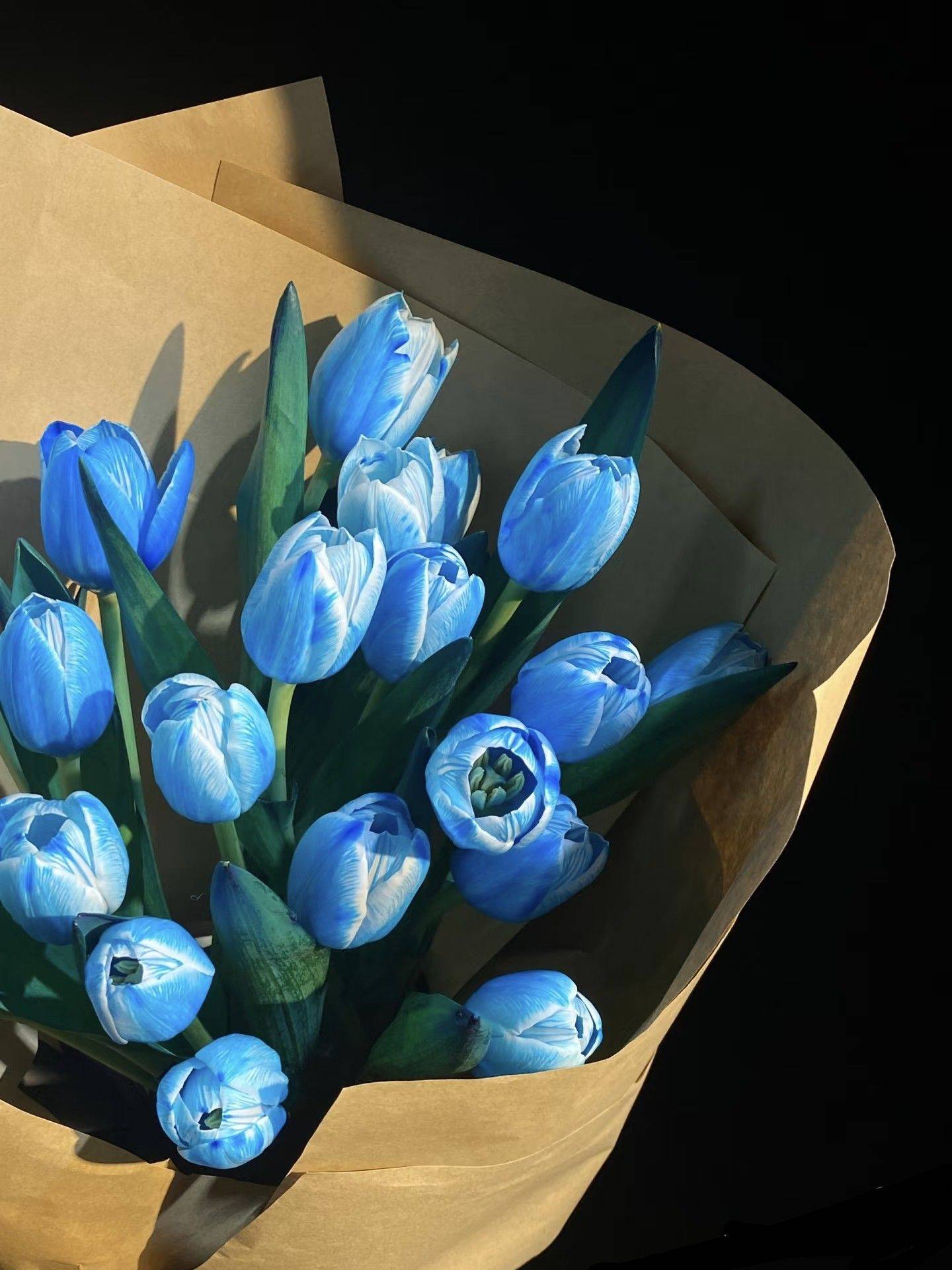 两只鱼与一只蝎子