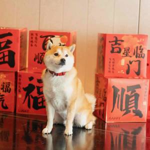 边旁部首