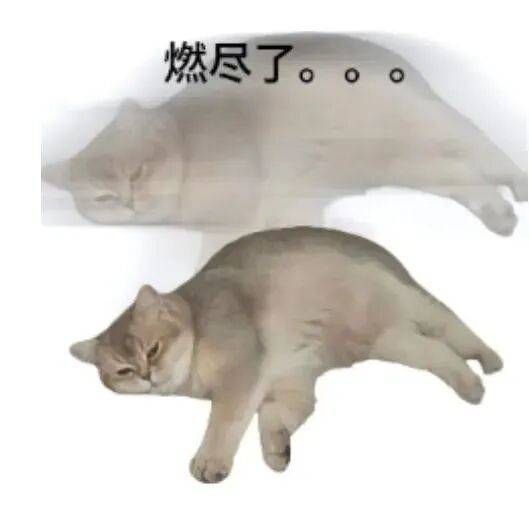 天天开心初来乍到，请多关照！