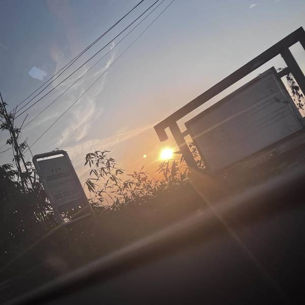 诗雅