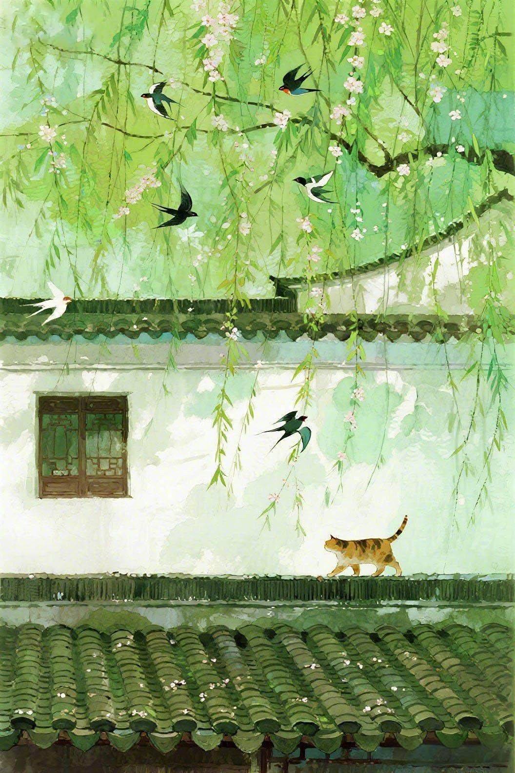 张张